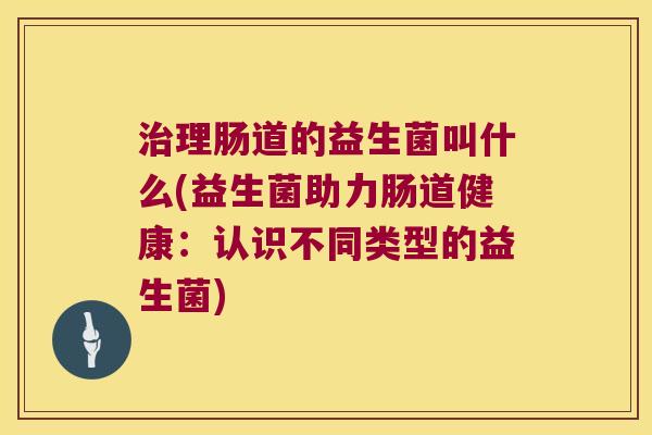 治理肠道的益生菌叫什么(益生菌助力肠道健康：认识不同类型的益生菌)