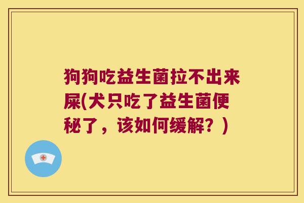 狗狗吃益生菌拉不出来屎(犬只吃了益生菌便秘了，该如何缓解？)