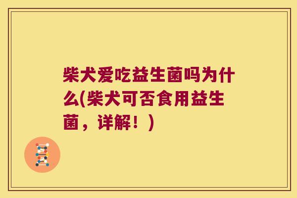 柴犬爱吃益生菌吗为什么(柴犬可否食用益生菌，详解！)
