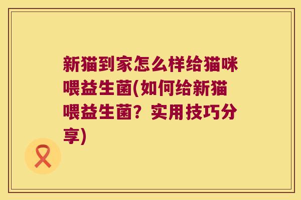 新猫到家怎么样给猫咪喂益生菌(如何给新猫喂益生菌？实用技巧分享)