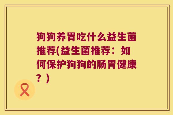 狗狗养胃吃什么益生菌推荐(益生菌推荐：如何保护狗狗的肠胃健康？)