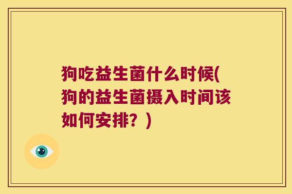 狗吃益生菌什么时候(狗的益生菌摄入时间该如何安排？)