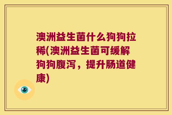 澳洲益生菌什么狗狗拉稀(澳洲益生菌可缓解狗狗，提升肠道健康)