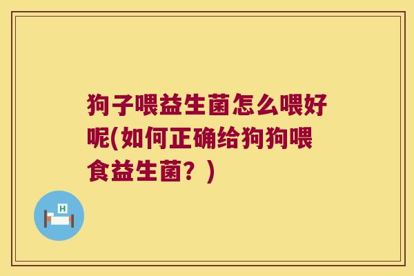 狗子喂益生菌怎么喂好呢(如何正确给狗狗喂食益生菌?) 狗子喂益生菌怎么喂好呢(如何正确给狗狗喂食益生菌?)