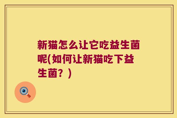 新猫怎么让它吃益生菌呢(如何让新猫吃下益生菌？)