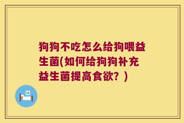 狗狗不吃怎么给狗喂益生菌(如何给狗狗补充益生菌提高食欲？)