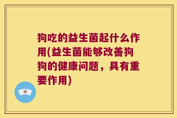 狗吃的益生菌起什么作用(益生菌能够改善狗狗的健康问题,具有重要作用) 狗吃的益生菌起什么作用(益生菌能够改善狗狗的健康问题,具有重要作用)