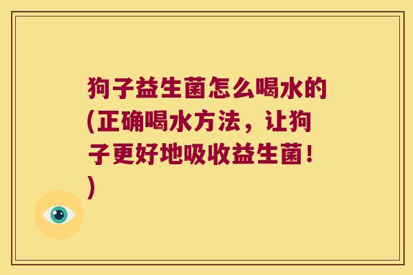 狗子益生菌怎么喝水的(正确喝水方法，让狗子更好地吸收益生菌！)