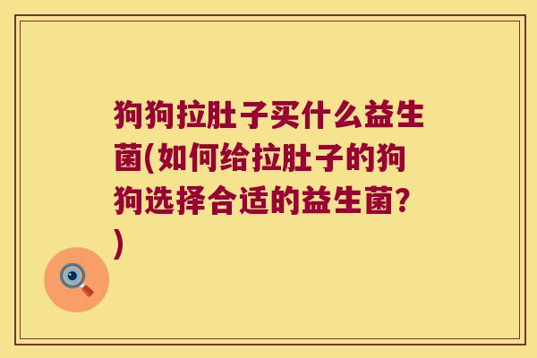 狗狗拉肚子买什么益生菌(如何给拉肚子的狗狗选择合适的益生菌？)