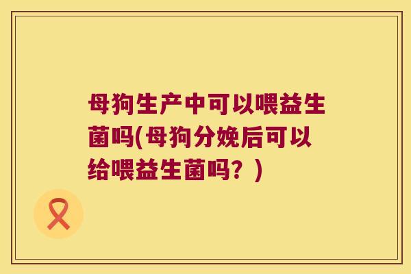母狗生产中可以喂益生菌吗(母狗分娩后可以给喂益生菌吗？)