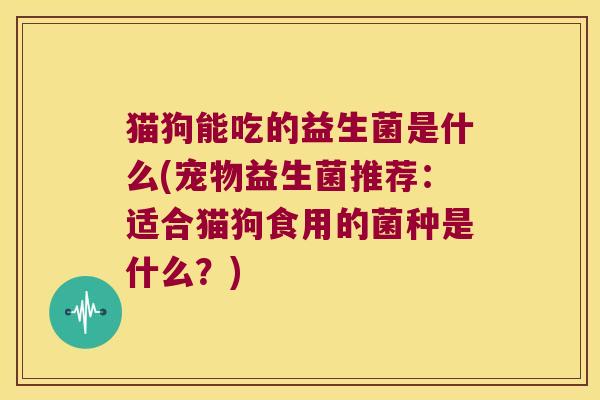 猫狗能吃的益生菌是什么(宠物益生菌推荐：适合猫狗食用的菌种是什么？)