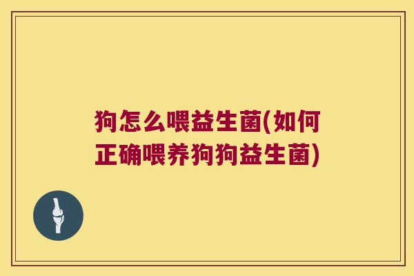 狗怎么喂益生菌(如何正确喂养狗狗益生菌)