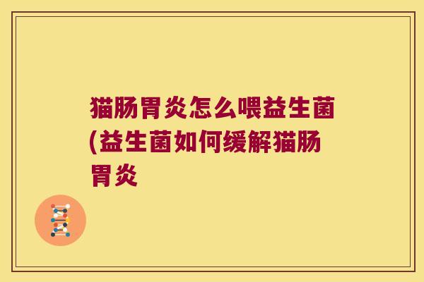 猫肠胃炎怎么喂益生菌(益生菌如何缓解猫肠胃炎
