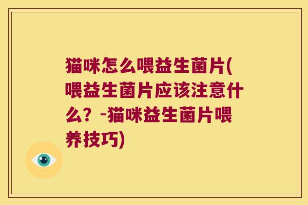 猫咪怎么喂益生菌片(喂益生菌片应该注意什么？-猫咪益生菌片喂养技巧)
