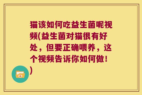 猫该如何吃益生菌呢视频(益生菌对猫很有好处，但要正确喂养，这个视频告诉你如何做！)