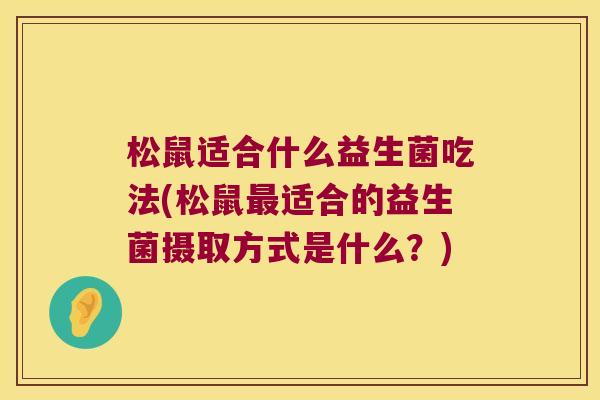松鼠适合什么益生菌吃法(松鼠最适合的益生菌摄取方式是什么？)