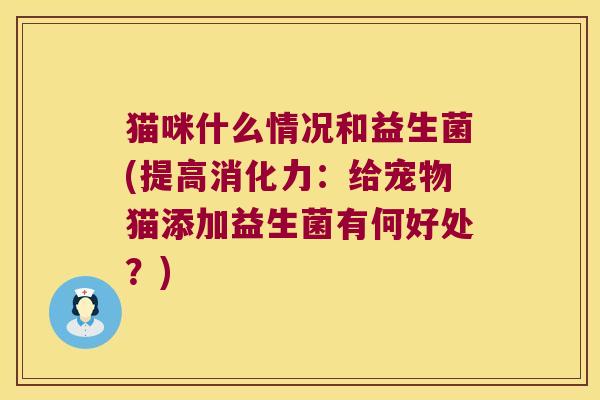 猫咪什么情况和益生菌(提高消化力：给宠物猫添加益生菌有何好处？)