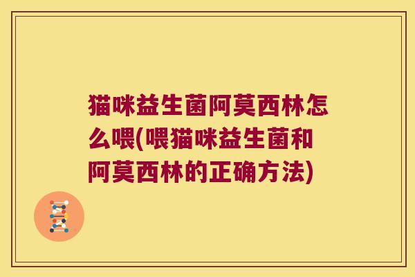 猫咪益生菌阿莫西林怎么喂(喂猫咪益生菌和阿莫西林的正确方法)