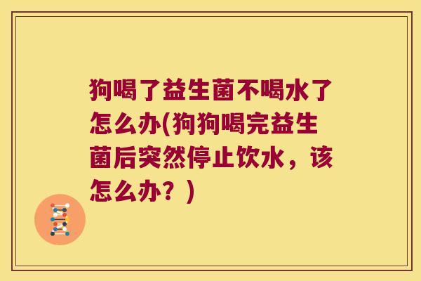 狗喝了益生菌不喝水了怎么办(狗狗喝完益生菌后突然停止饮水，该怎么办？)