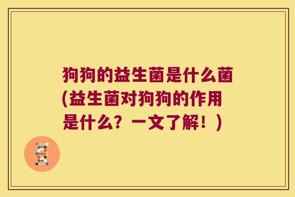狗狗的益生菌是什么菌(益生菌对狗狗的作用是什么？一文了解！)