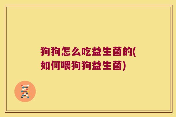 狗狗怎么吃益生菌的(如何喂狗狗益生菌)
