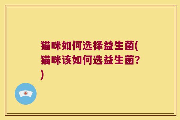 猫咪如何选择益生菌(猫咪该如何选益生菌？)