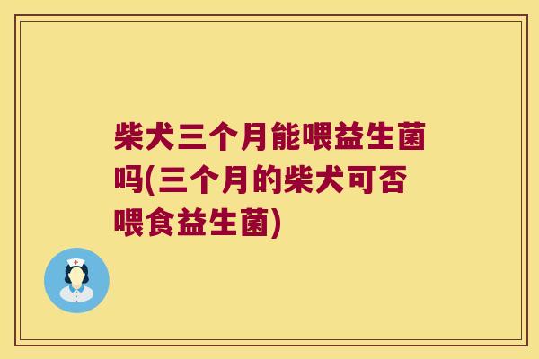 柴犬三个月能喂益生菌吗(三个月的柴犬可否喂食益生菌)