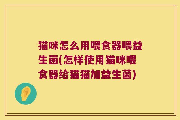 猫咪怎么用喂食器喂益生菌(怎样使用猫咪喂食器给猫猫加益生菌)