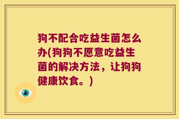 狗不配合吃益生菌怎么办(狗狗不愿意吃益生菌的解决方法，让狗狗健康饮食。)