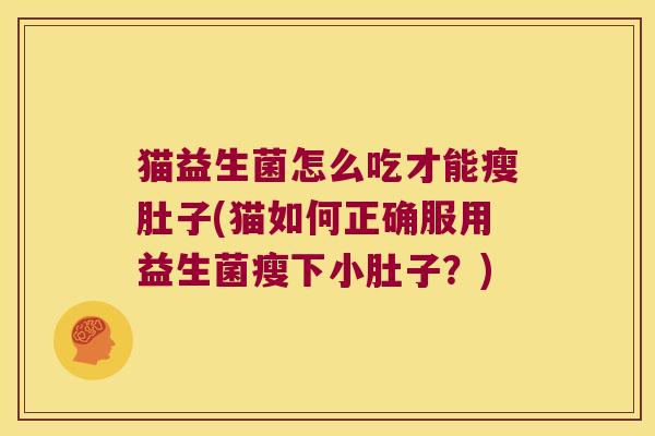 猫益生菌怎么吃才能瘦肚子(猫如何正确服用益生菌瘦下小肚子?) 猫益生菌怎么吃才能瘦肚子(猫如何正确服用益生菌瘦下小肚子?)