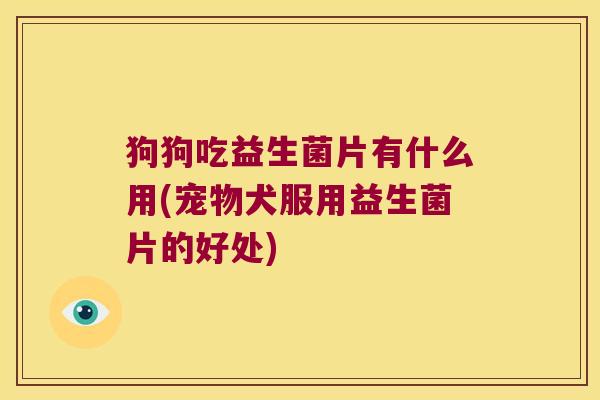 狗狗吃益生菌片有什么用(宠物犬服用益生菌片的好处)