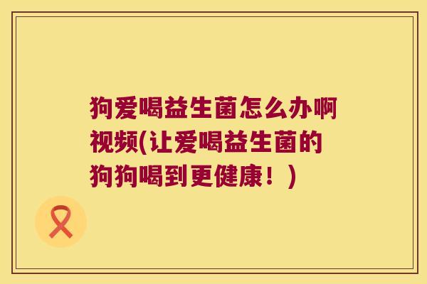 狗爱喝益生菌怎么办啊视频(让爱喝益生菌的狗狗喝到更健康！)