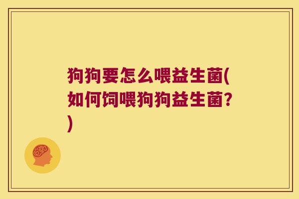狗狗要怎么喂益生菌(如何饲喂狗狗益生菌？)