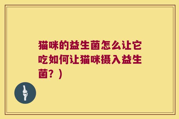 猫咪的益生菌怎么让它吃如何让猫咪摄入益生菌？)