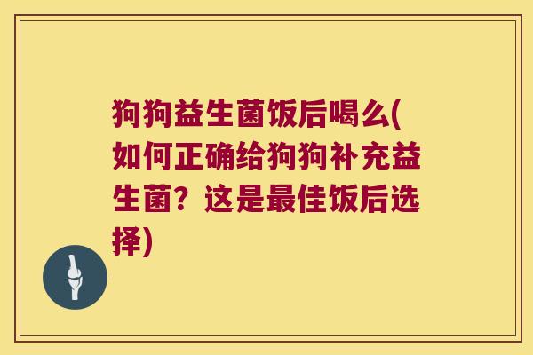 狗狗益生菌饭后喝么(如何正确给狗狗补充益生菌？这是最佳饭后选择)