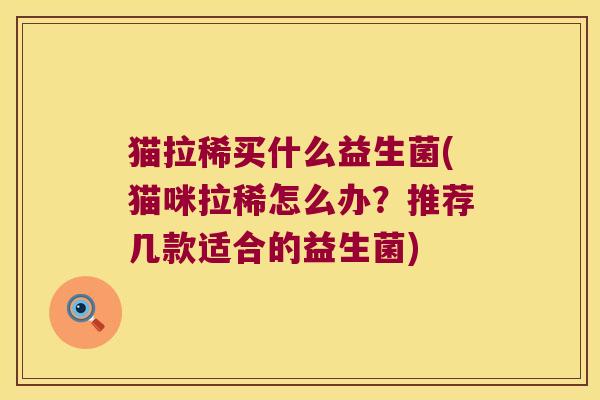 猫拉稀买什么益生菌(猫咪拉稀怎么办？推荐几款适合的益生菌)