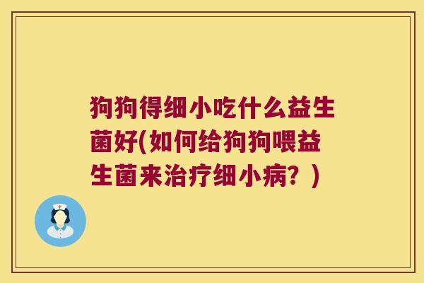 狗狗得细小吃什么益生菌好(如何给狗狗喂益生菌来治疗细小病？)