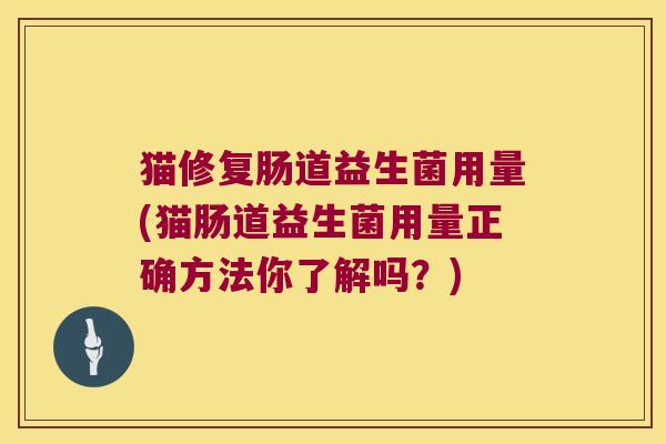 猫修复肠道益生菌用量(猫肠道益生菌用量正确方法你了解吗？)