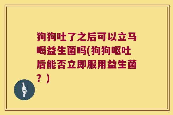 狗狗吐了之后可以立马喝益生菌吗(狗狗呕吐后能否立即服用益生菌？)