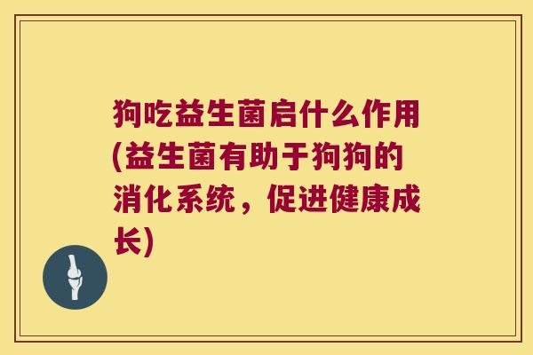 狗吃益生菌启什么作用(益生菌有助于狗狗的消化系统，促进健康成长)