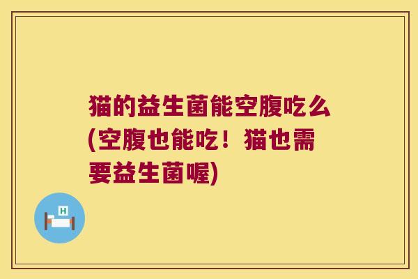 猫的益生菌能空腹吃么(空腹也能吃！猫也需要益生菌喔)