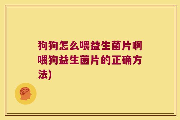 狗狗怎么喂益生菌片啊喂狗益生菌片的正确方法)