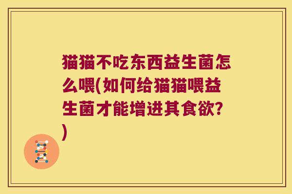猫猫不吃东西益生菌怎么喂(如何给猫猫喂益生菌才能增进其食欲？)