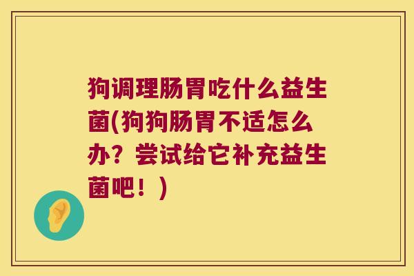 狗调理肠胃吃什么益生菌(狗狗肠胃不适怎么办？尝试给它补充益生菌吧！)