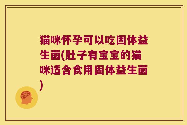 猫咪怀孕可以吃固体益生菌(肚子有宝宝的猫咪适合食用固体益生菌)