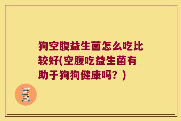 狗空腹益生菌怎么吃比较好(空腹吃益生菌有助于狗狗健康吗？)