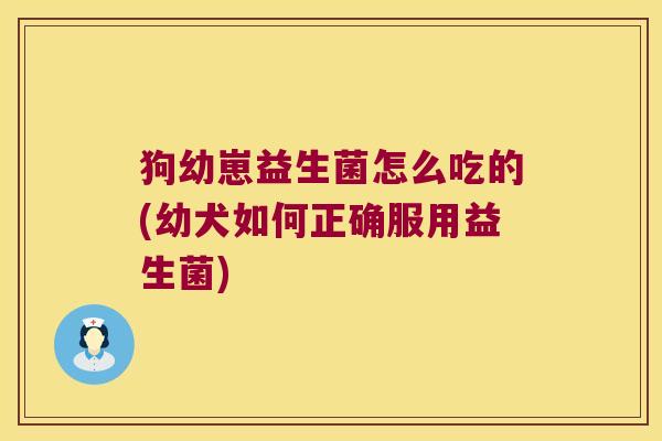狗幼崽益生菌怎么吃的(幼犬如何正确服用益生菌)