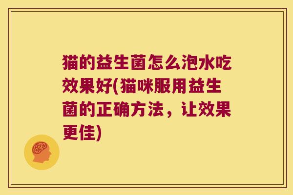 猫的益生菌怎么泡水吃效果好(猫咪服用益生菌的正确方法，让效果更佳)