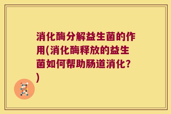 消化酶分解益生菌的作用(消化酶释放的益生菌如何帮助肠道消化？)