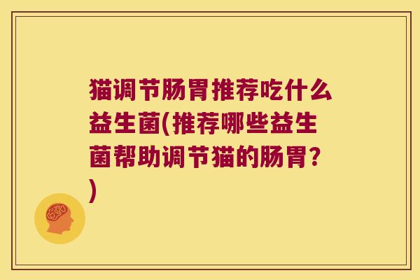 猫调节肠胃推荐吃什么益生菌(推荐哪些益生菌帮助调节猫的肠胃？)